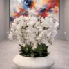 Orchidée Arrangement avec Planter