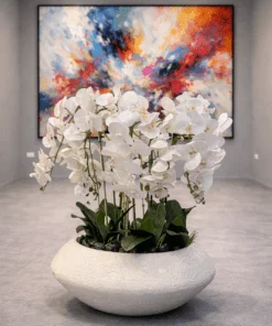Orchidée Arrangement avec Planter
