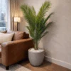 Palmier Areca 140 cm