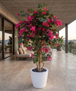 Bougainvillea tree 160 cm styled in an interior — Neon Jungle Studios