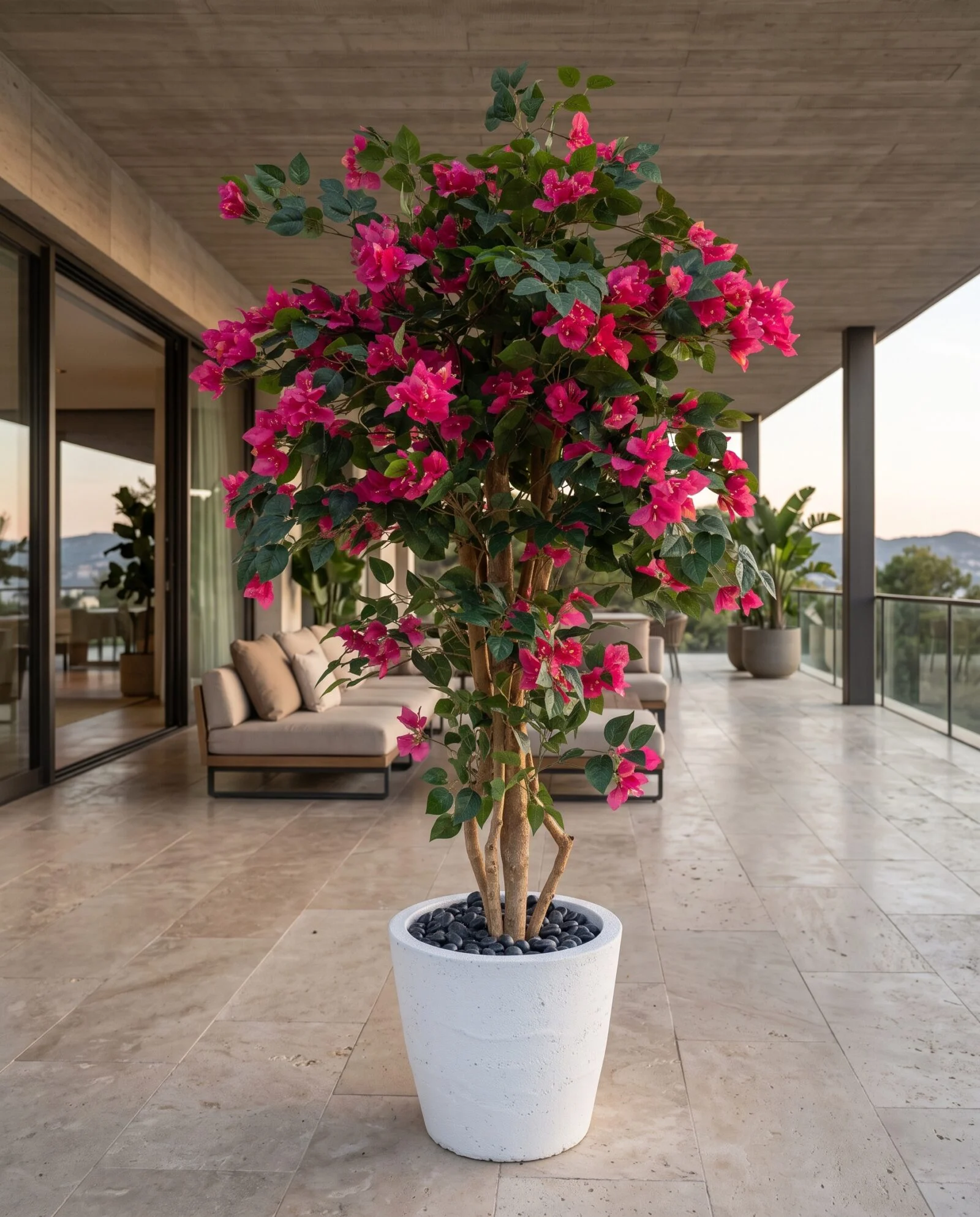 Bougainvillea tree 160 cm styled in an interior — Neon Jungle Studios