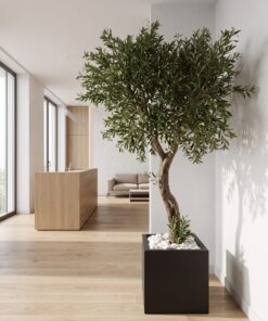Custom Olive Tree 220*160 cm styled in an interior — Neon Jungle Studios