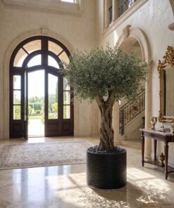 Custom Olive Tree 260*190 cm styled in an interior — Neon Jungle Studios