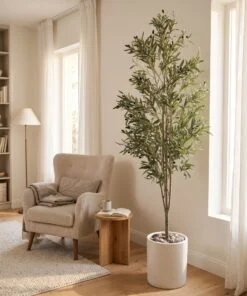 Olive Tree Fiber 220 cm styled in an interior — Neon Jungle Studios