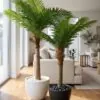 Palm Tree styled in an interior — Neon Jungle Studios
