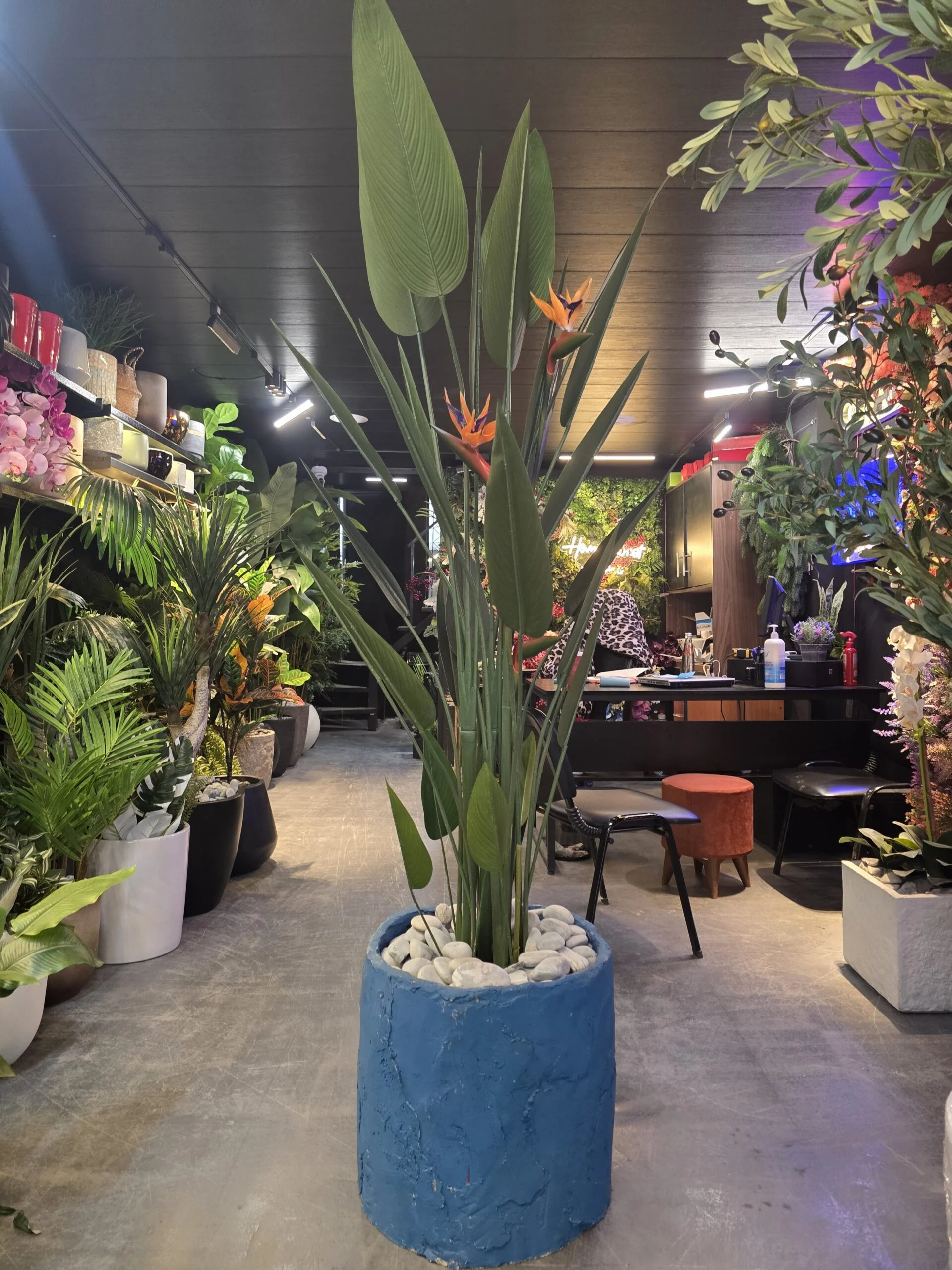 Oiseau du Paradis avec fleurs