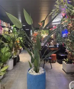 Oiseau du Paradis avec fleurs