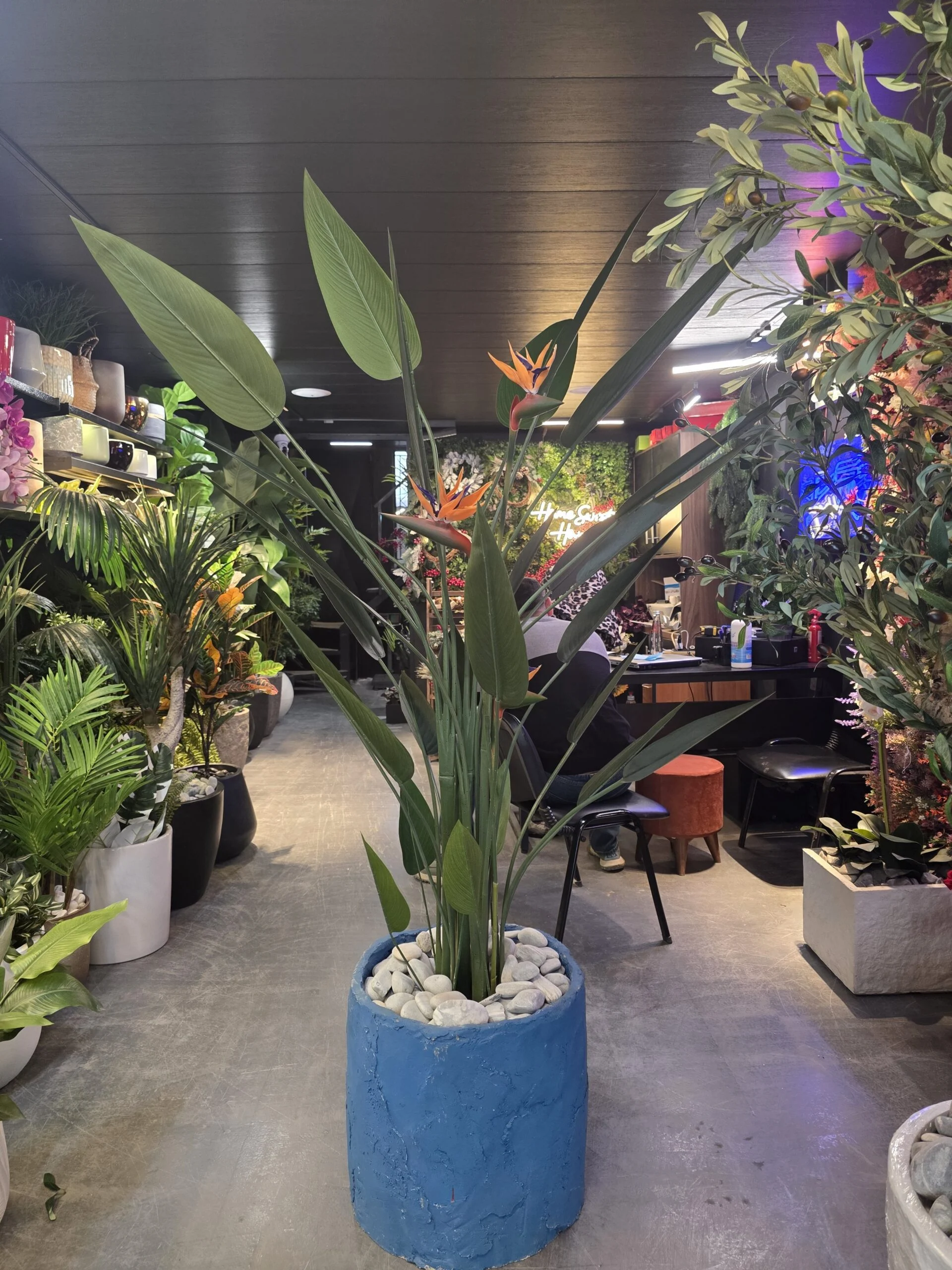 Oiseau du Paradis avec fleurs
