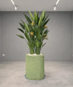 Oiseau du Paradis Arrangement avec concrete pot () 240 cm