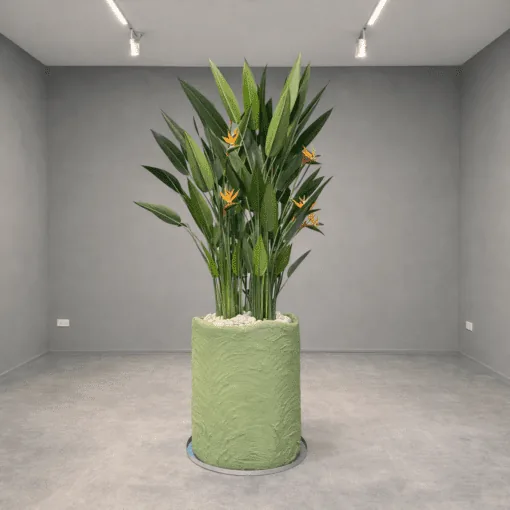 Oiseau du Paradis Arrangement avec concrete pot () 240 cm