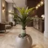 Bird's Nest Fern 80 cm styled in an interior — Neon Jungle Studios