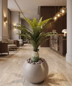 Bird's Nest Fern 80 cm styled in an interior — Neon Jungle Studios