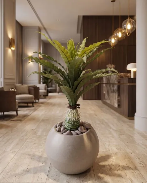 Bird's Nest Fern 80 cm styled in an interior — Neon Jungle Studios