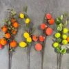 Tige de Fruits 60 cm