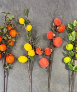 Tige de Fruits 60 cm
