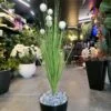 Herbe Pompon 100 cm