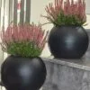 Gea PVC 50 cm