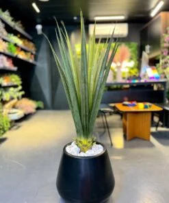 Leto PVC 40 cm