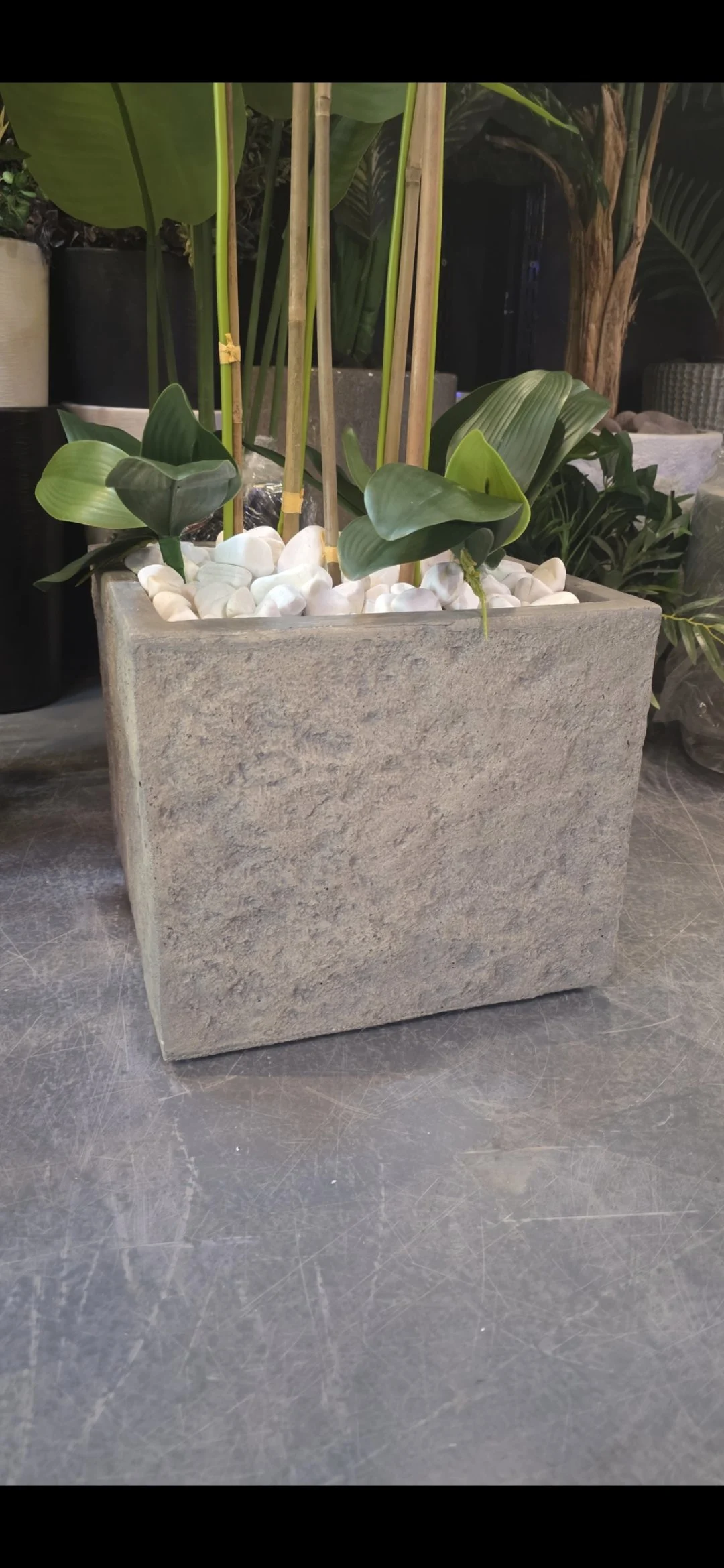 Fibre Carrée Terreuse