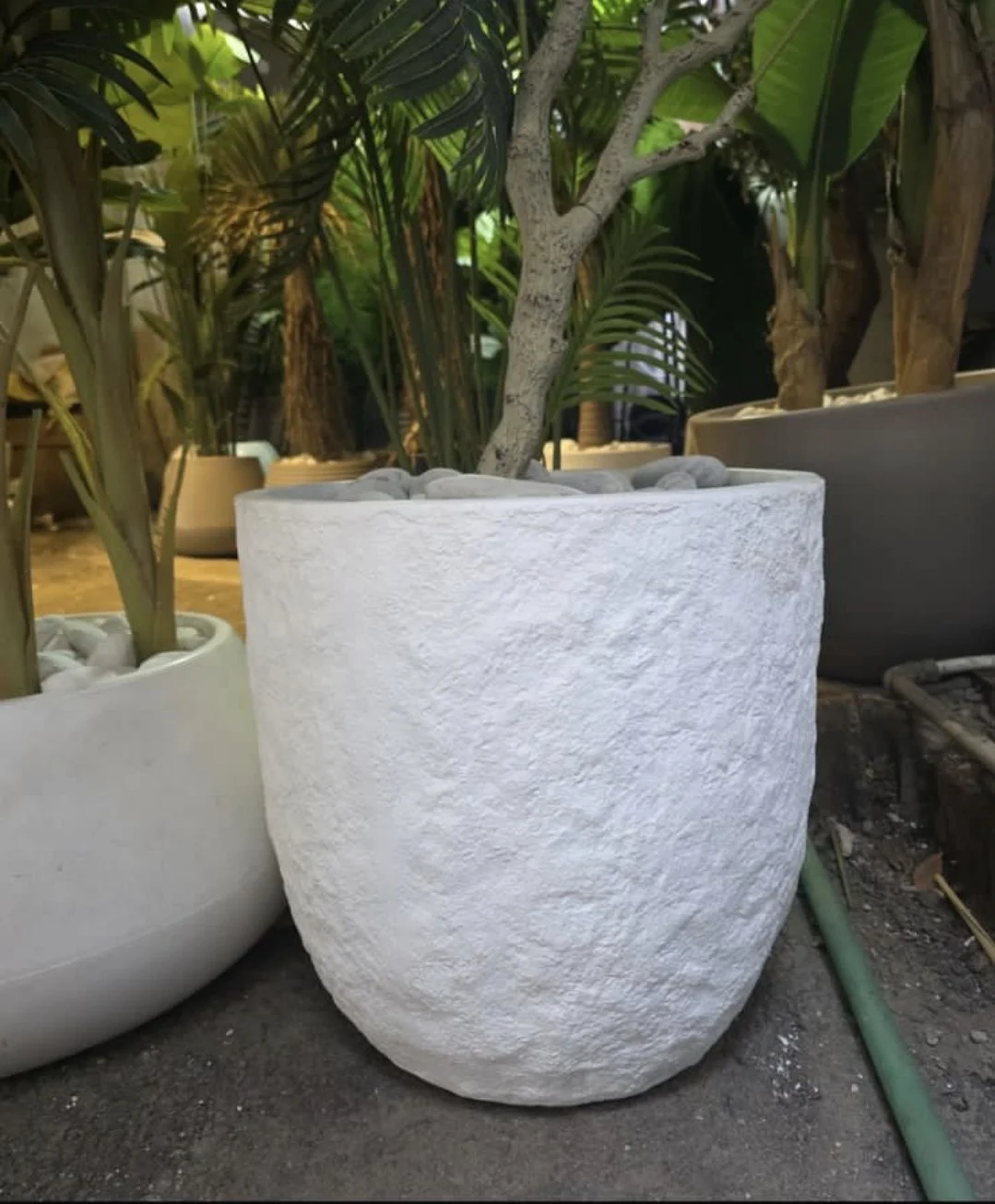 Fibre Terreuse