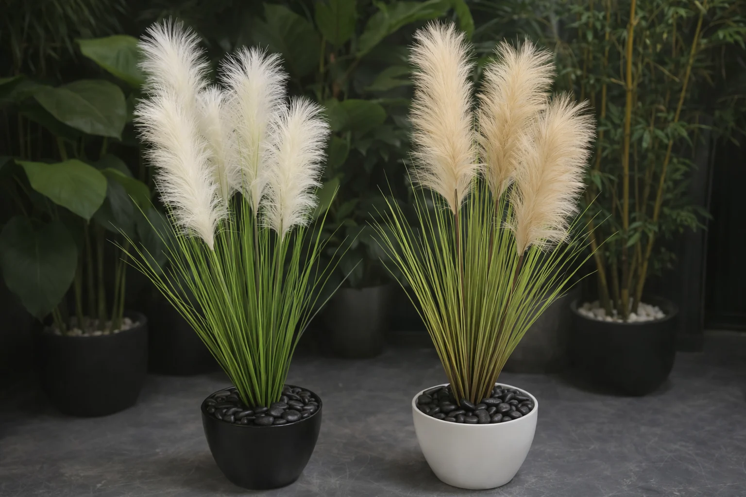 Herbe de la Pampa 125 cm