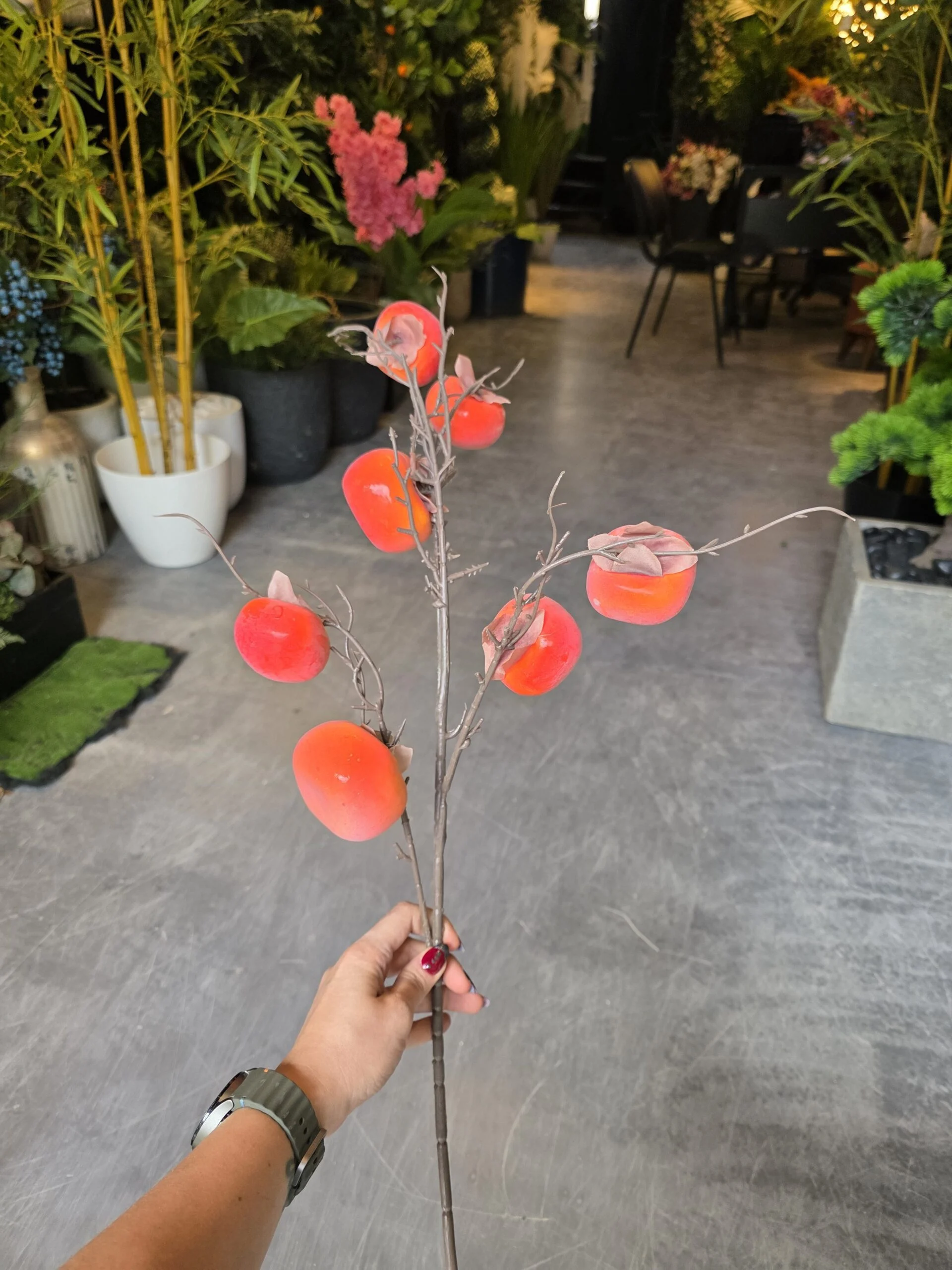 Tige de Fruits 60 cm