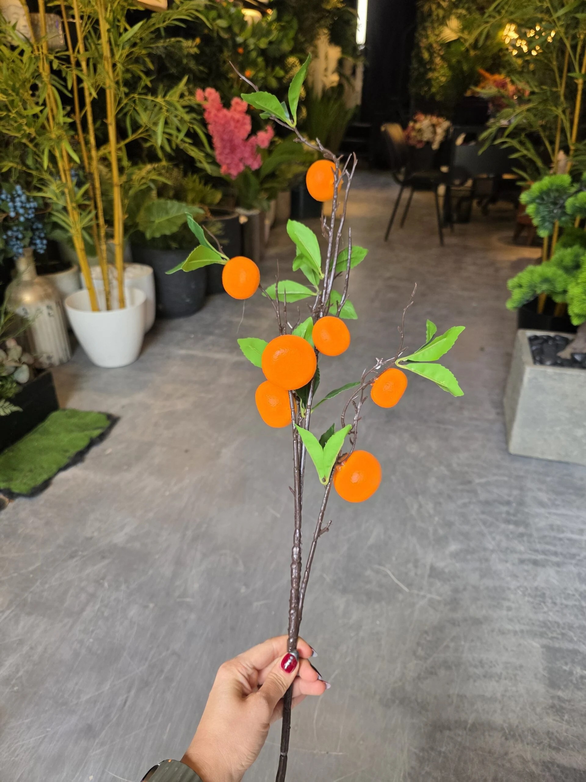 Tige de Fruits 60 cm