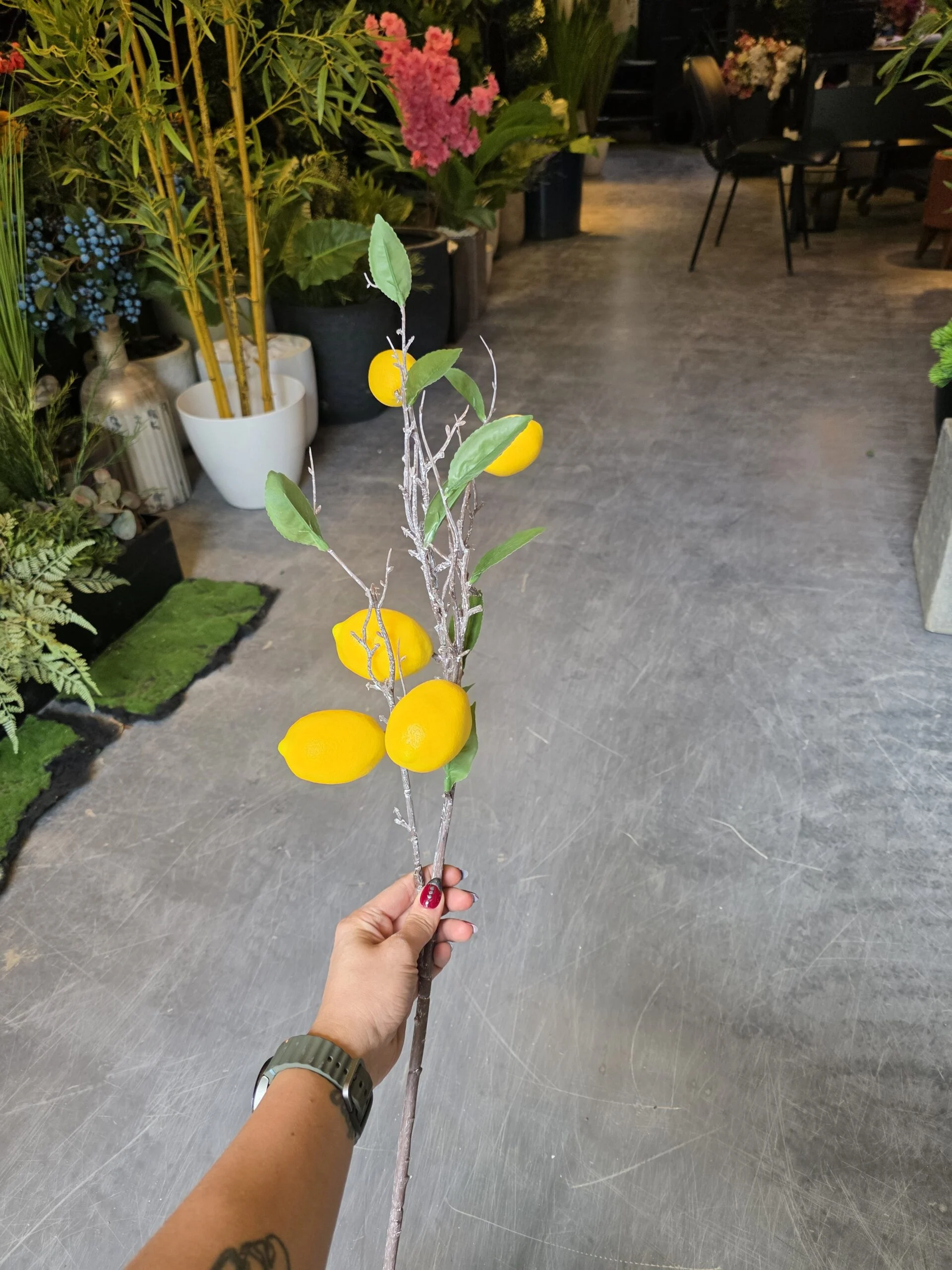 Tige de Fruits 60 cm