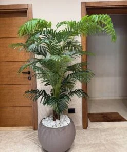 Palmier Areca 180 cm