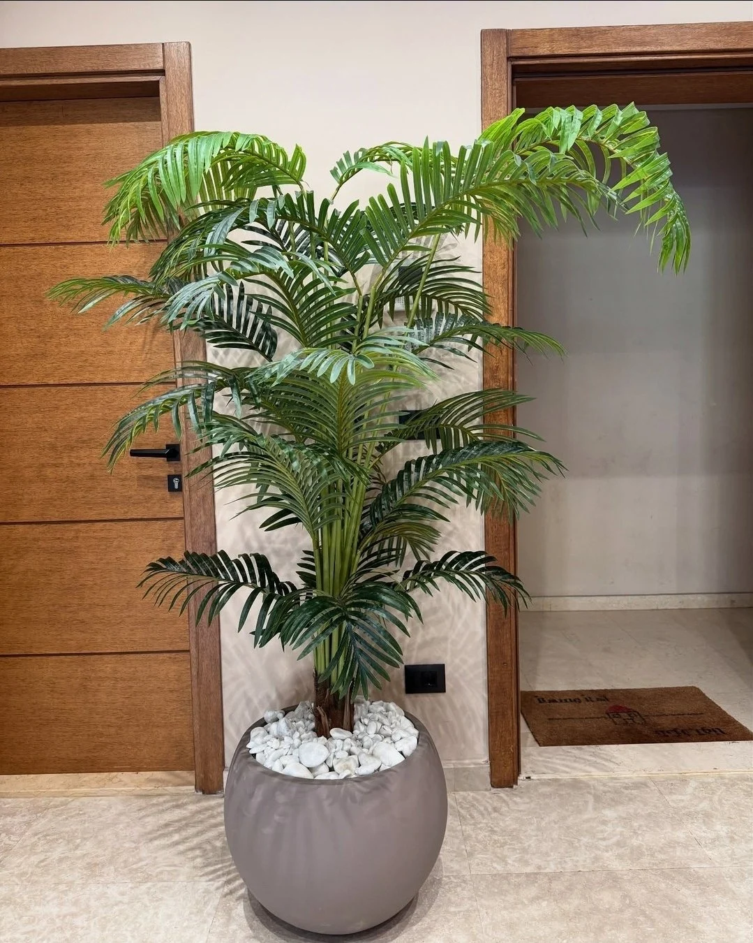 Palmier Areca 180 cm