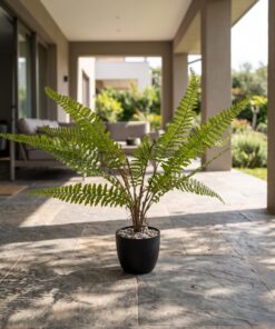 Fougere Plant 40 cm styled in an interior — Neon Jungle Studios