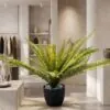Fougere Plant Thick 40 cm styled in an interior — Neon Jungle Studios