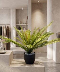 Fougere Plant Thick 40 cm styled in an interior — Neon Jungle Studios