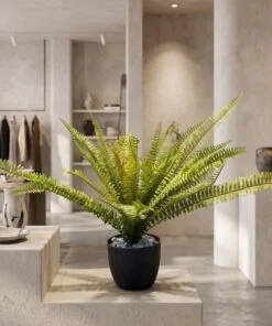 Fougere Plant Thick 40 cm styled in an interior — Neon Jungle Studios