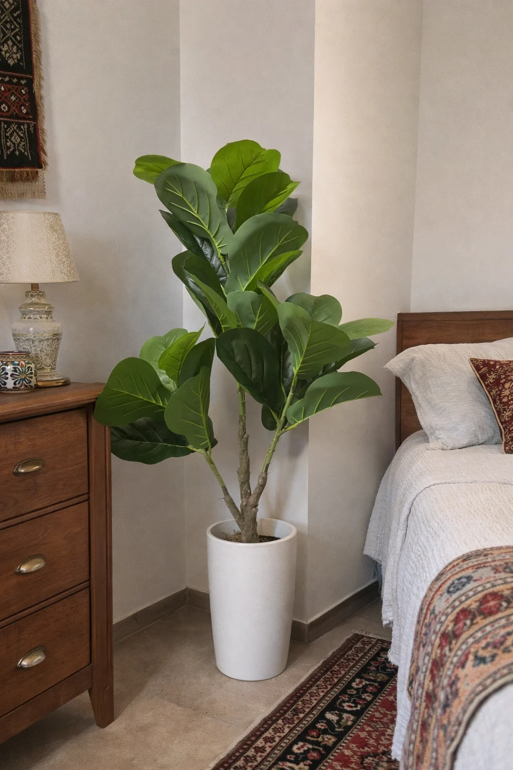 Ficus Lyrata 100 cm
