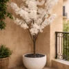 Cerisier en Fleurs White 190 cm