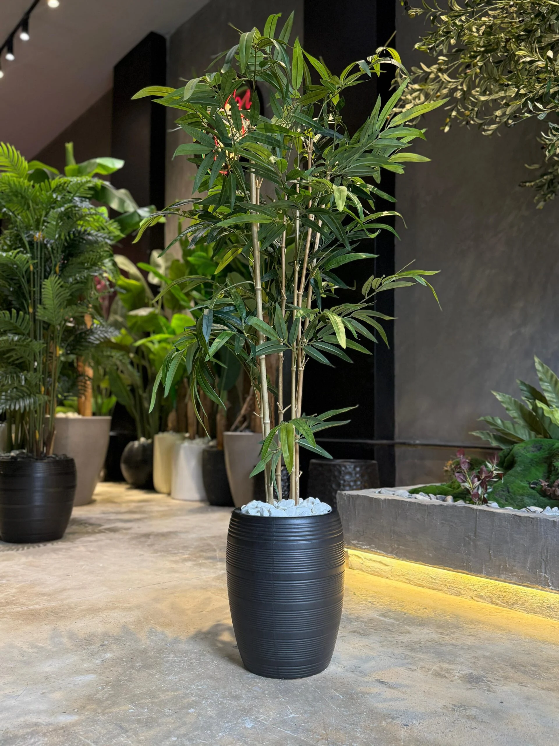Plante de Bambou 135 cm