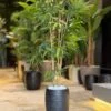 Plante de Bambou 135 cm