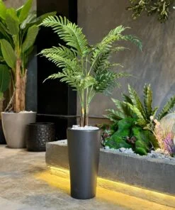 Plante Areca 110 cm