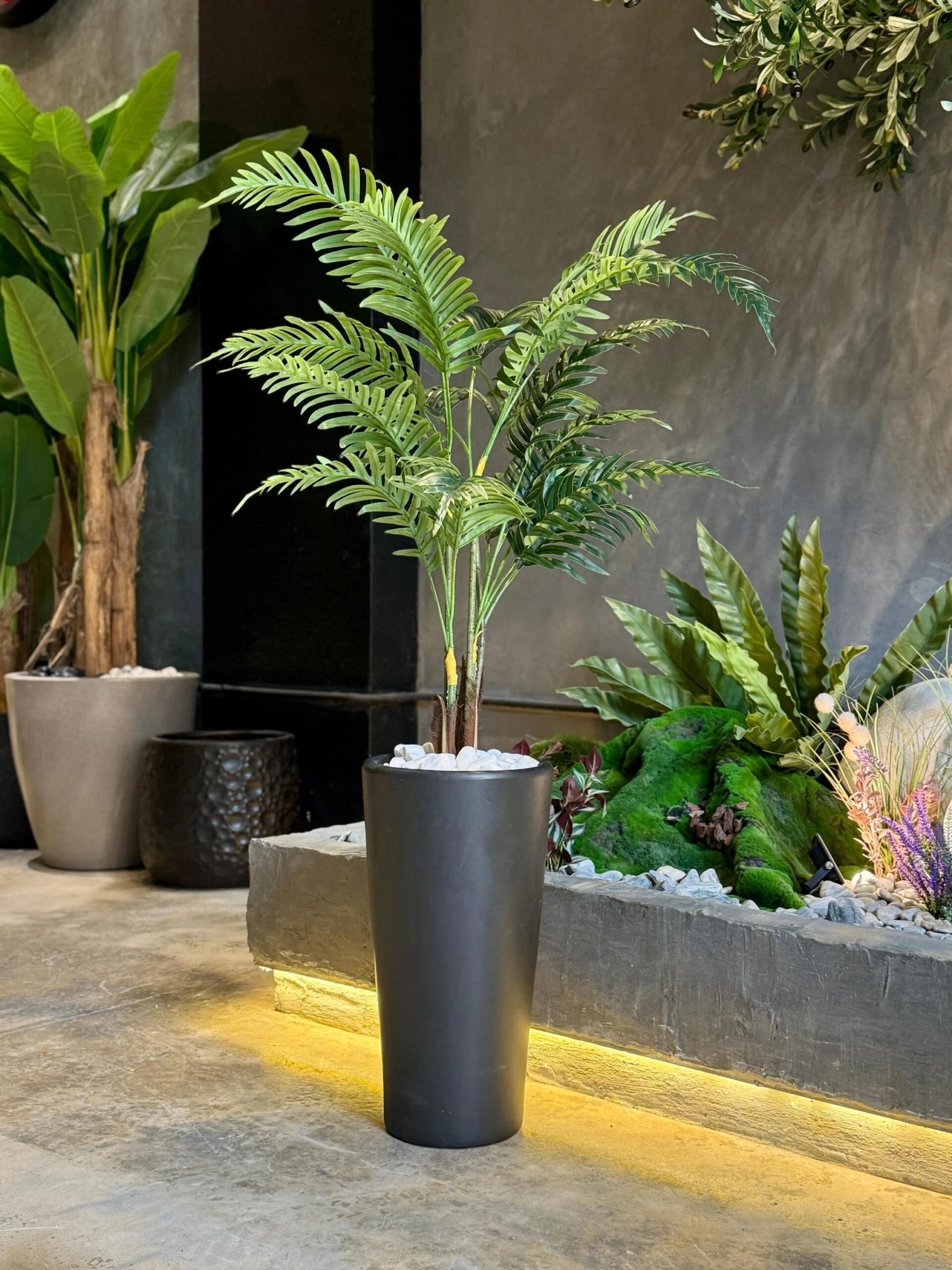 Plante Areca 110 cm