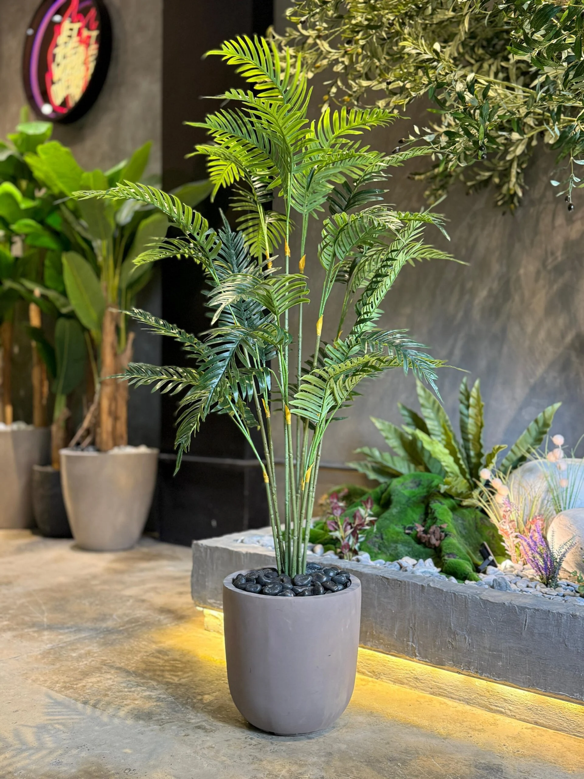 Plante Areca 155 cm