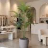 Areca Plant 155 cm styled in an interior — Neon Jungle Studios