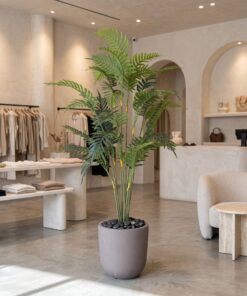 Areca Plant 155 cm styled in an interior — Neon Jungle Studios