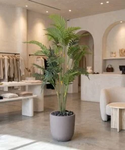 Areca Plant 155 cm styled in an interior — Neon Jungle Studios