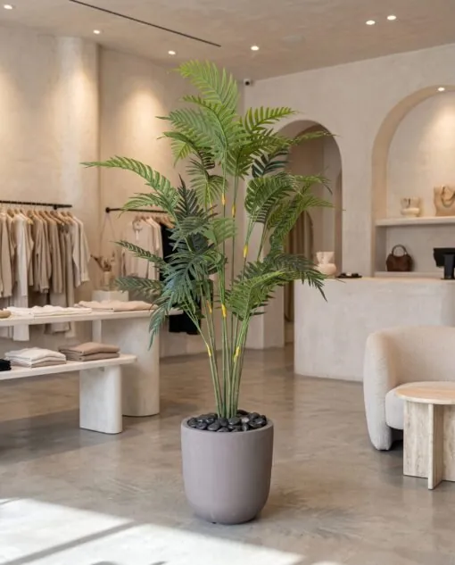 Areca Plant 155 cm styled in an interior — Neon Jungle Studios
