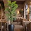 Areca Plant 190 cm styled in an interior — Neon Jungle Studios