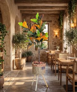 Croton 110 cm styled in an interior — Neon Jungle Studios