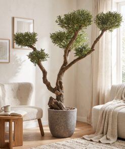 Custom Olive Bonsai 170x170 cm styled in an interior — Neon Jungle Studios