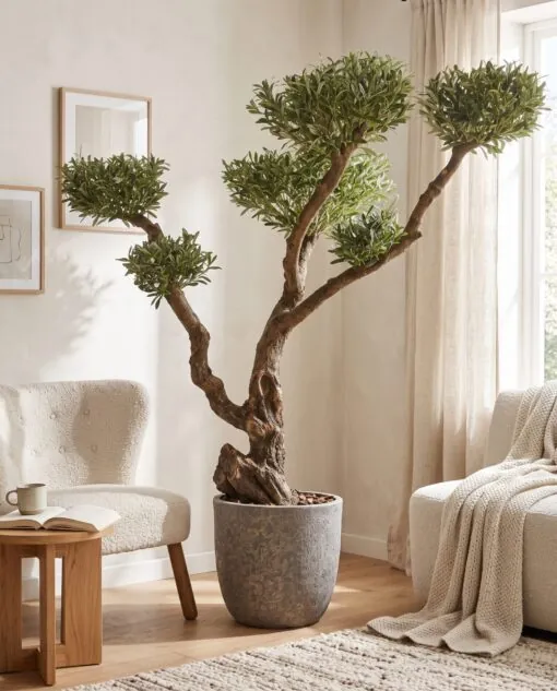 Custom Olive Bonsai 170x170 cm styled in an interior — Neon Jungle Studios