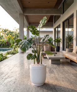Monstera Deliciosa 110 cm styled in an interior — Neon Jungle Studios